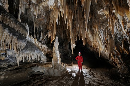 Grotte des Canalettes (Pyrénées Orientales) - Galerie concrétionnée(SP-12-0884 )